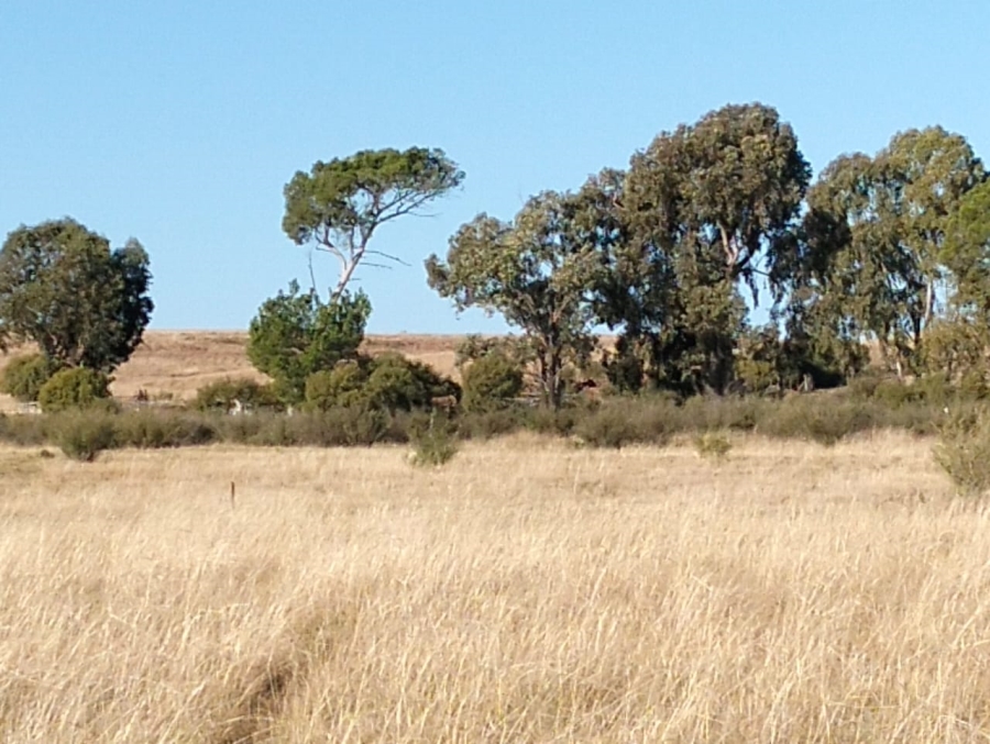 Commercial Property for Sale in Thaba Nchu Free State